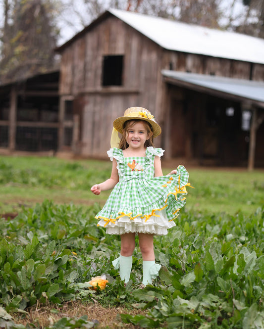 Emily's Little Farm Friends Dress – Hand Embroidered Vintage Inspired Cotton Boutique Girls Summer Dress | Plaid Lace Ruffle Heirloom Style