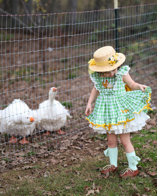 Emily's Little Farm Friends Dress – Hand Embroidered Vintage Inspired Cotton Boutique Girls Summer Dress | Plaid Lace Ruffle Heirloom Style