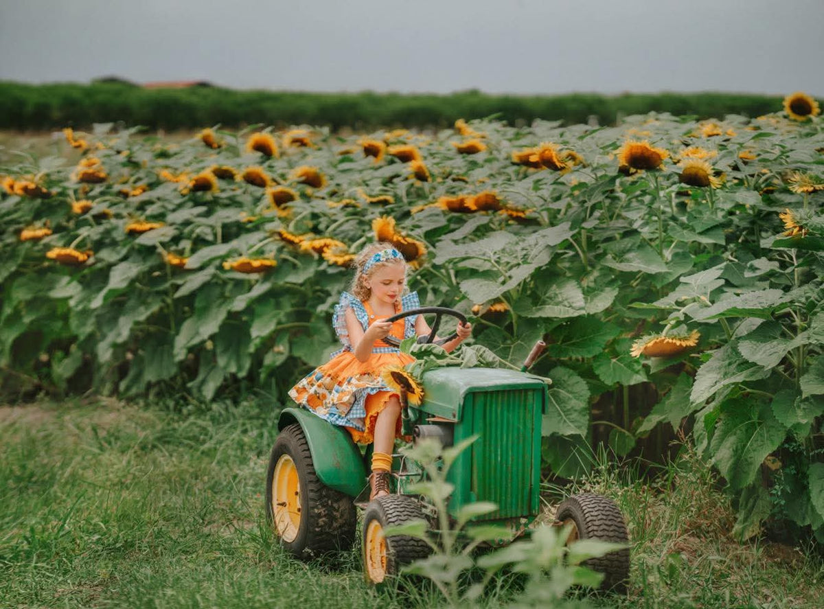 Pumpkin Season at Willow Manor | Girls Heirloom Fall Dress Set | Grand Millennial Twirl Dress