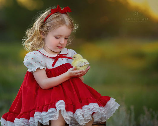 Petit Rouge Délice Dress – Vintage Inspired Boutique Girls Dress | Lace Organza Heirloom Style Special Occasion