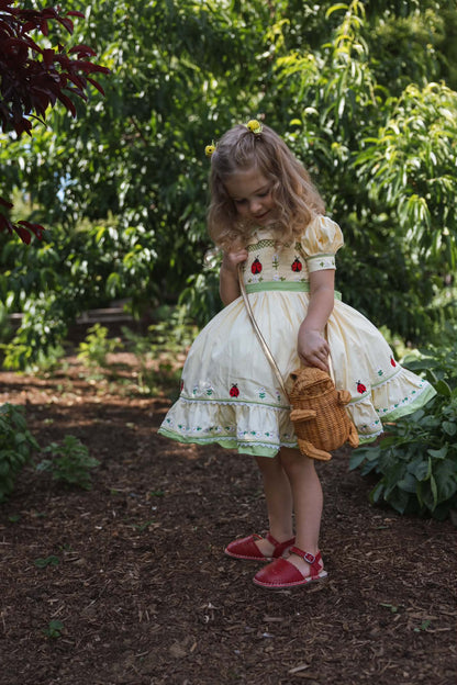 Robe coccinelle – Robe brodée de boutique pour filles | Robe d'été style héritage en dentelle à imprimé coccinelle