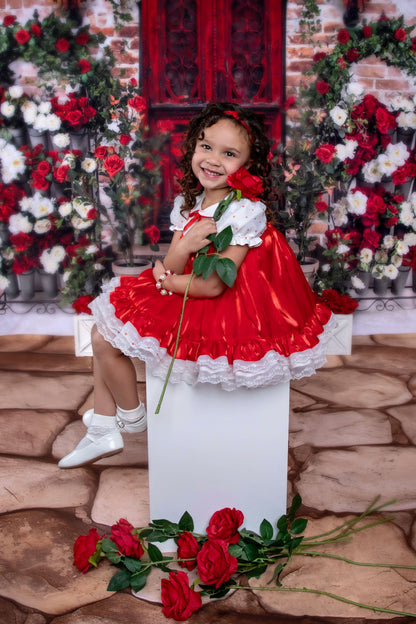 Petit Rouge Délice Dress – Vintage Inspired Boutique Girls Dress | Lace Organza Heirloom Style Special Occasion