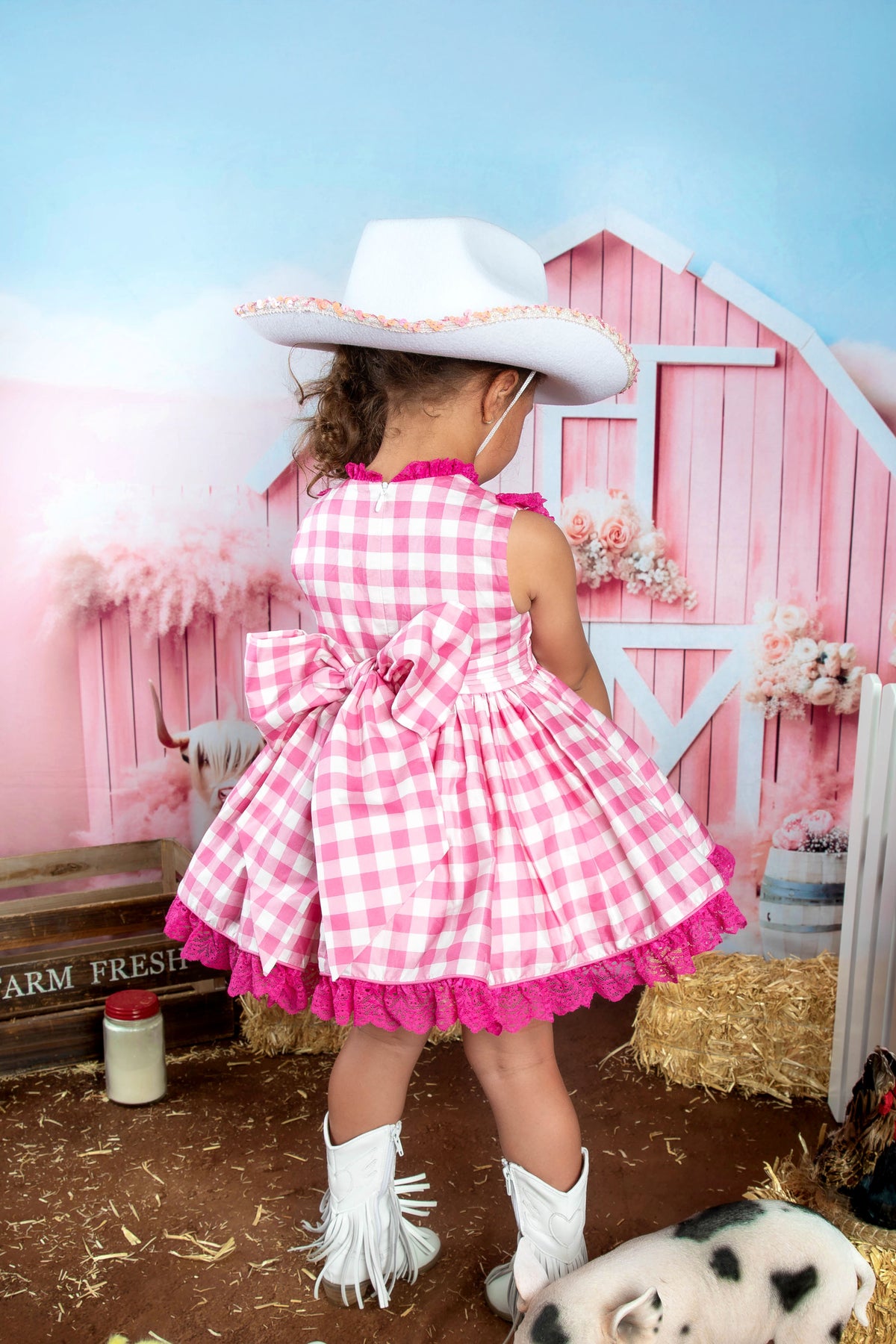 Rodeo Princess Dress – Embroidered Vintage Inspired Cotton Boutique Girls Dress | Gingham Print Lace Ruffle Twirl Dress