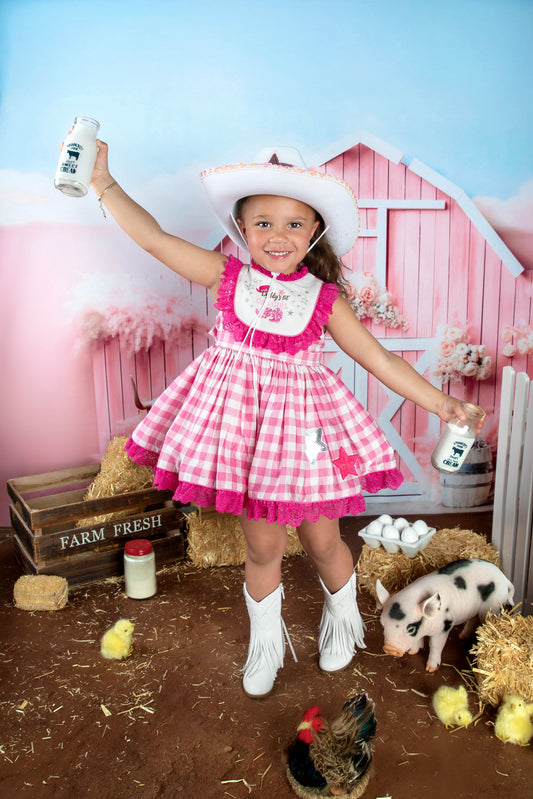 Rodeo Princess Dress – Embroidered Vintage Inspired Cotton Boutique Girls Dress | Gingham Print Lace Ruffle Twirl Dress